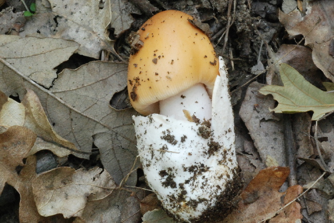 Uscita del 18 Cima di Tuoro (PG)